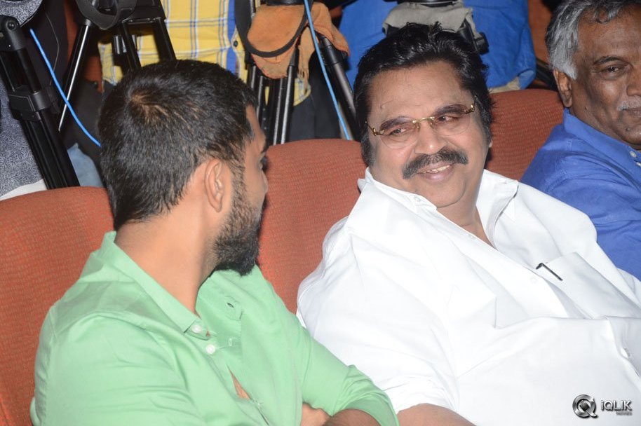 Pelli-Choopulu-Movie-Success-Meet